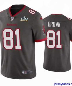 Outstanding Antonio Brown Buccaneers Pewter Super Bowl Lv Vapor Limited Jersey